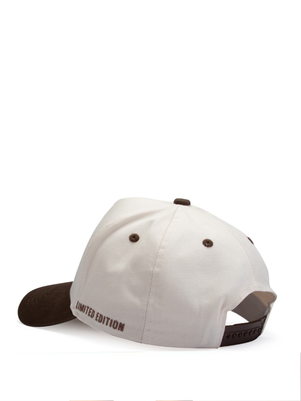 Ostentious Beige & Brown Cap