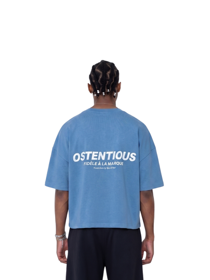 Oversized T-shirt by Ostentious and unseen grail. Graphic cotton t-shirt. local streetwear brands south africa. female and male.