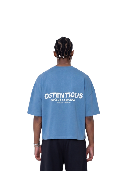 Oversized T-shirt by Ostentious and unseen grail. Graphic cotton t-shirt. local streetwear brands south africa. female and male.