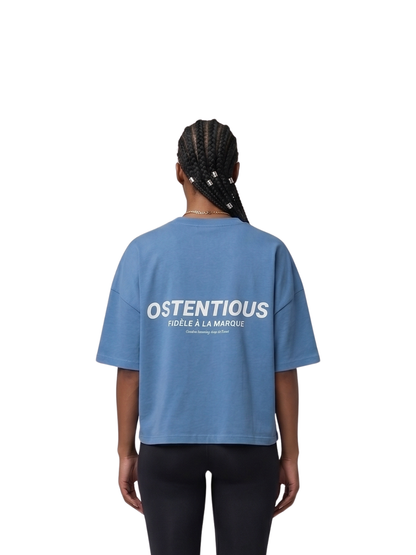 Oversized T-shirt by Ostentious and unseen grail. Graphic cotton t-shirt. local streetwear brands south africa. female and male.