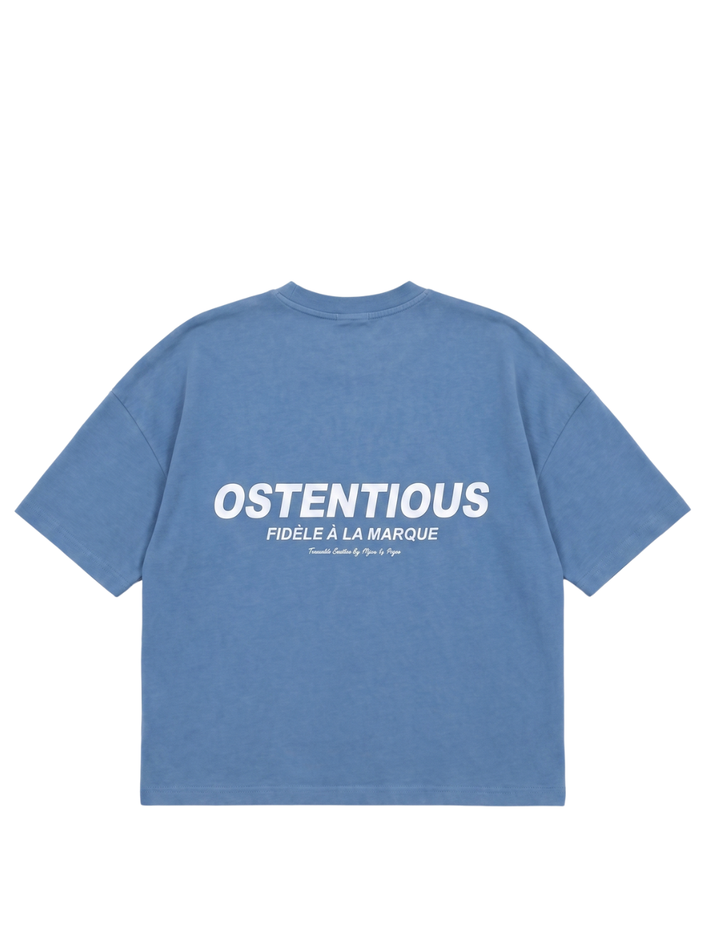 Oversized T-shirt by Ostentious and unseen grail. Graphic cotton t-shirt. local streetwear brands south africa. female and male.