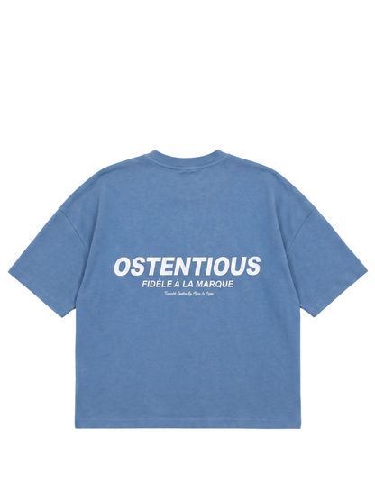 Oversized T-shirt by Ostentious and unseen grail. Graphic cotton t-shirt. local streetwear brands south africa. female and male.