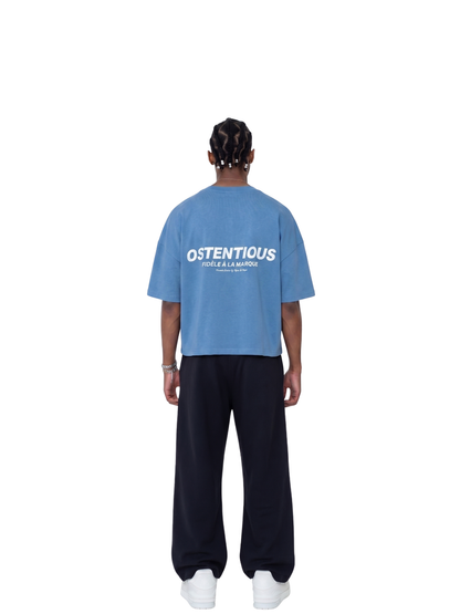 Oversized T-shirt by Ostentious and unseen grail. Graphic cotton t-shirt. local streetwear brands south africa. female and male.