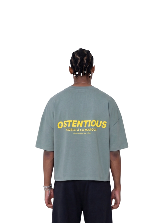 Oversized T-shirt by Ostentious and unseen grail. Graphic cotton t-shirt. local streetwear brands south africa. female and male.