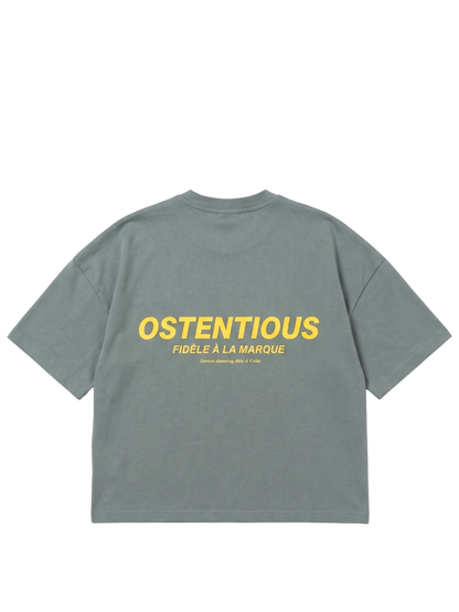 Oversized T-shirt by Ostentious and unseen grail. Graphic cotton t-shirt. local streetwear brands south africa. female and male.