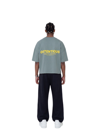 Oversized T-shirt by Ostentious and unseen grail. Graphic cotton t-shirt. local streetwear brands south africa. female and male.