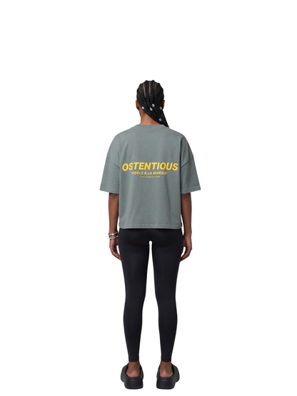 Oversized T-shirt by Ostentious and unseen grail. Graphic cotton t-shirt. local streetwear brands south africa. female and male.